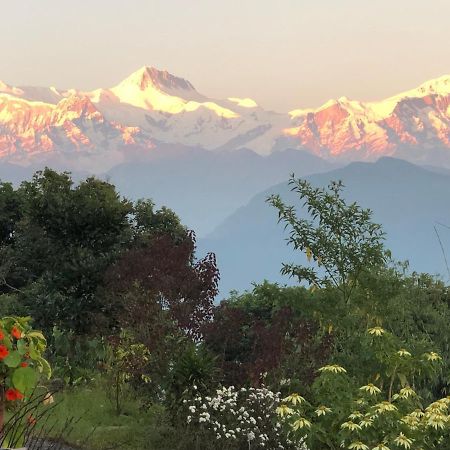 Hotel Pristine Himalaya Pokhara Exterior photo