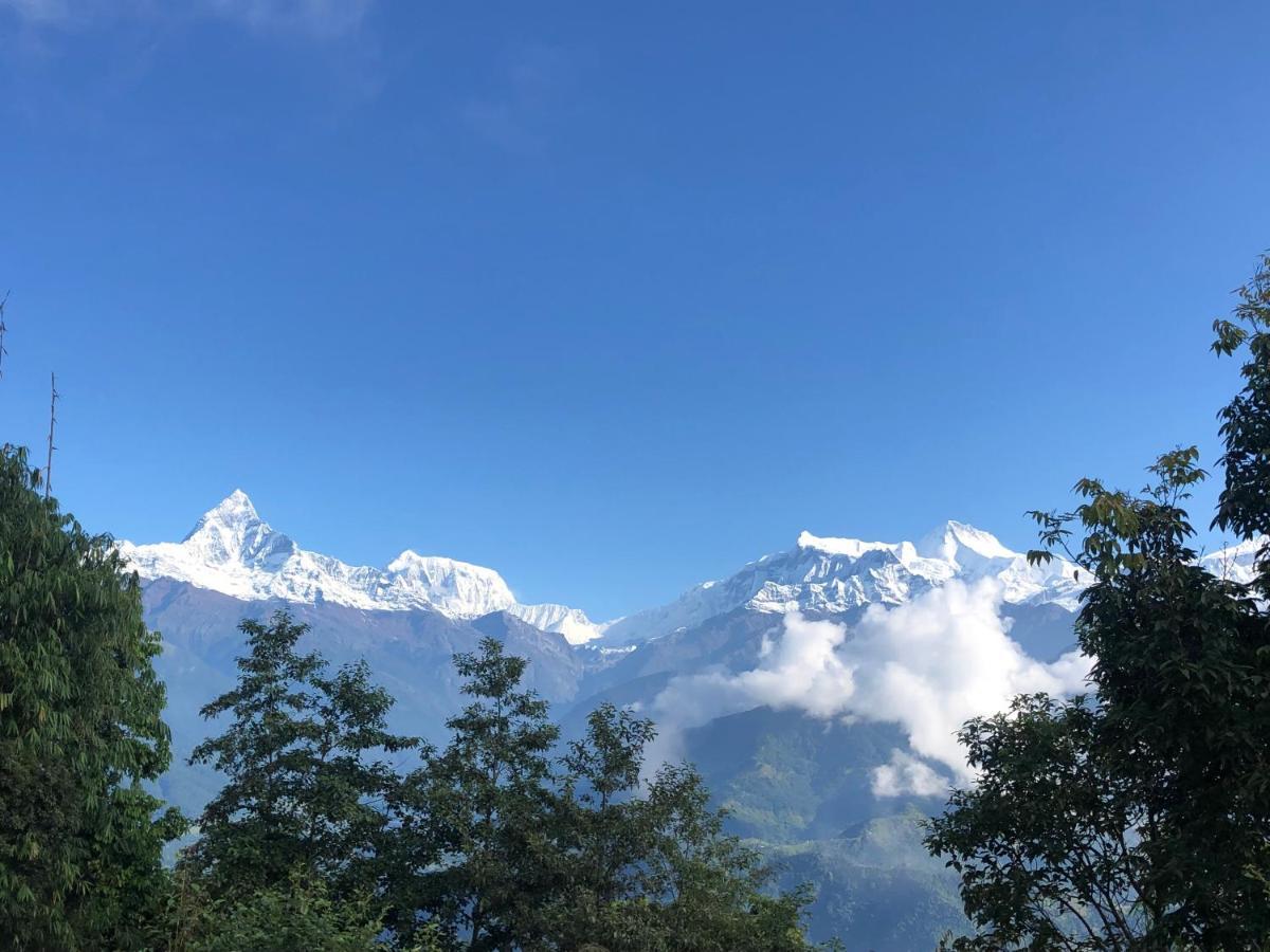 Hotel Pristine Himalaya Pokhara Exterior photo